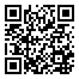 QR Code segnalazione
